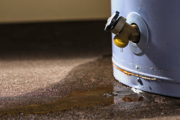 Best Water damage restoration near me  in Farmers Branch, TX
