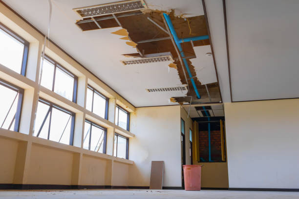Best Water damage cleanup near me  in Farmers Branch, TX