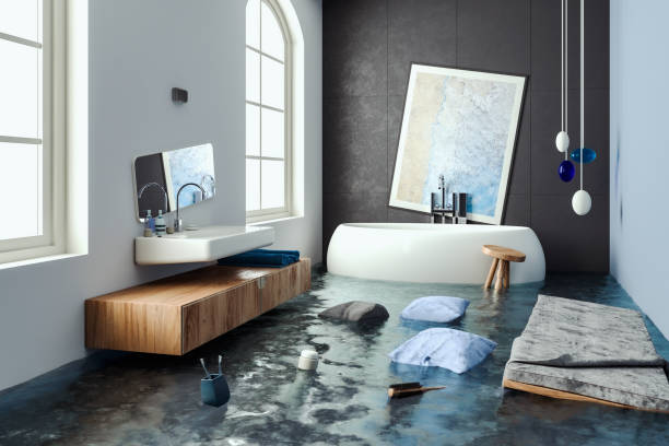 Water damage restoration mold remediation in Farmers Branch, TX