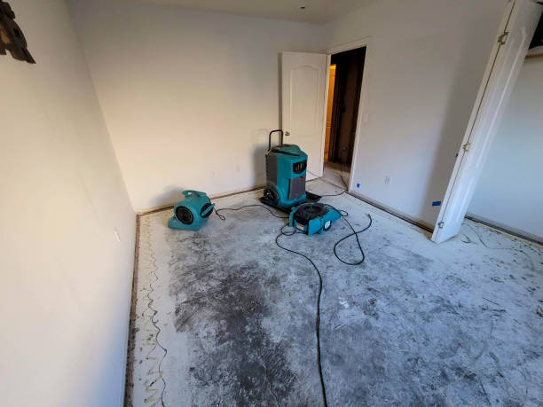 Reliable Farmers Branch, TX Water damage restoration Solutions
