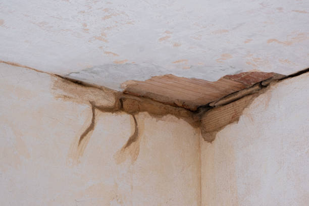Best Basement water damage restoration  in Farmers Branch, TX