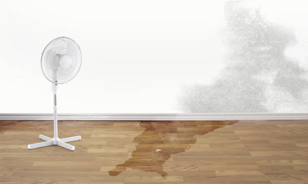 Best Emergency water damage restoration  in Farmers Branch, TX