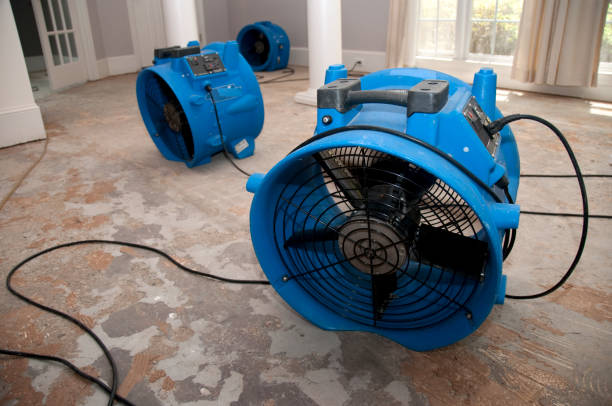 Best Professional water damage repair  in Farmers Branch, TX
