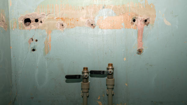 Best Flood restoration services  in Farmers Branch, TX