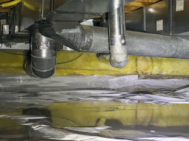 Best Local water damage restoration  in Farmers Branch, TX