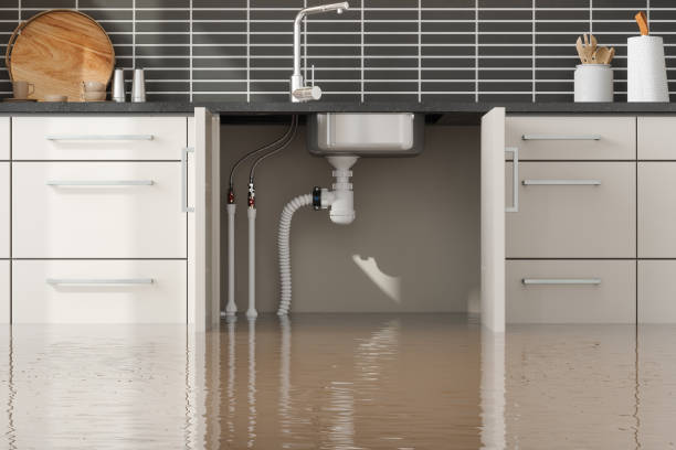 Best Commercial water damage restoration  in Farmers Branch, TX