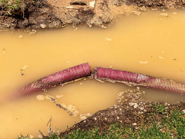 Best Fire Damage Restoration  in Farmers Branch, TX