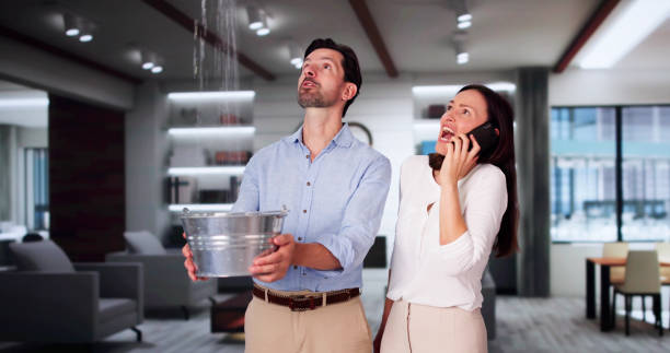 Best Flood damage cleanup  in Farmers Branch, TX