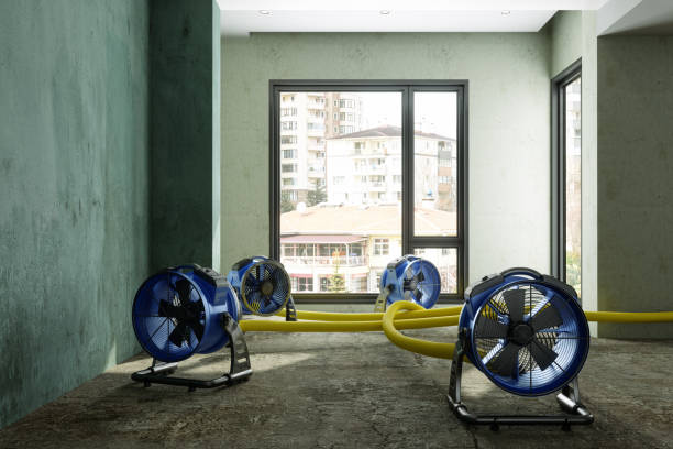 Best Carpet water damage restoration  in Farmers Branch, TX